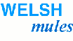 welshlogo.gif